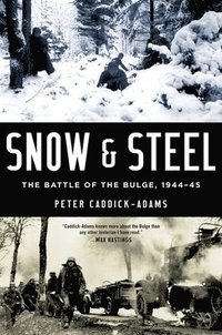 bokomslag Snow and Steel