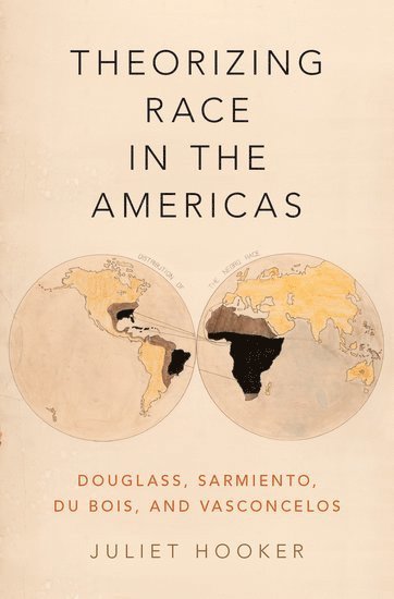 bokomslag Theorizing Race in the Americas