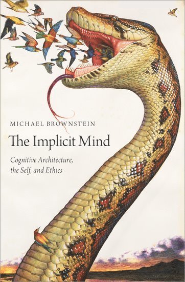 The Implicit Mind 1