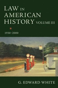 bokomslag Law in American History, Volume III
