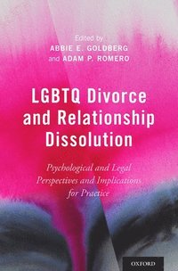 bokomslag LGBTQ Divorce and Relationship Dissolution