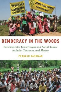bokomslag Democracy in the Woods