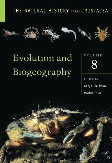 bokomslag Evolution and Biogeography