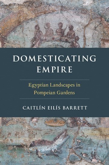 bokomslag Domesticating Empire