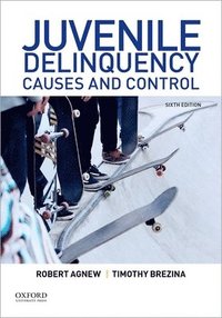 bokomslag Juvenile Delinquency: Causes and Control