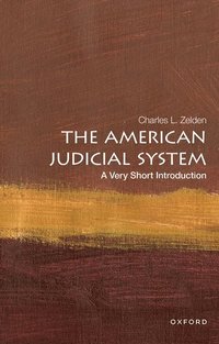 bokomslag The American Judicial System