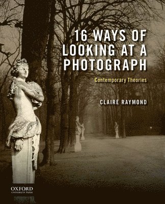 bokomslag 16 Ways of Looking at a Photograph: Contemporary Theories