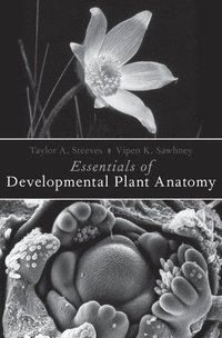 bokomslag Essentials of Developmental Plant Anatomy