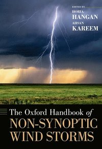 bokomslag The Oxford Handbook of Non-Synoptic Wind Storms