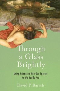 bokomslag Through a Glass Brightly