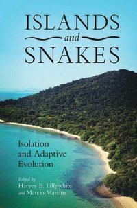 bokomslag Islands and Snakes