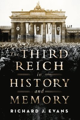 bokomslag Third Reich in History and Memory