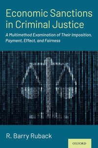 bokomslag Economic Sanctions in Criminal Justice