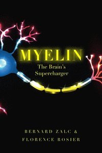 bokomslag Myelin