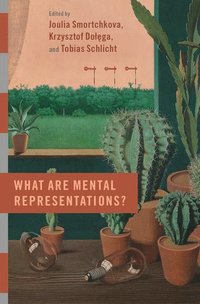 bokomslag What are Mental Representations?