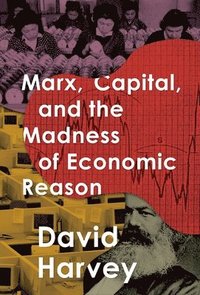 bokomslag Marx, Capital, and the Madness of Economic Reason