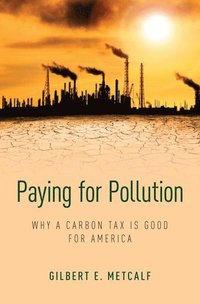 bokomslag Paying for Pollution