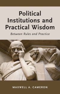 bokomslag Political Institutions and Practical Wisdom