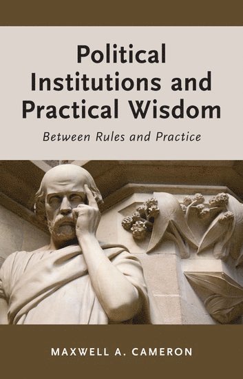 bokomslag Political Institutions and Practical Wisdom