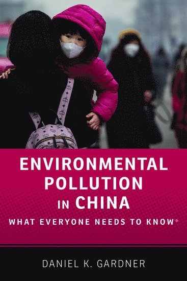 bokomslag Environmental Pollution in China