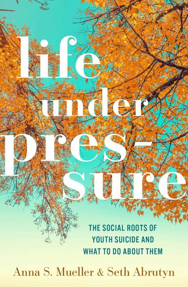 Anna S. Mueller, Seth Abrutyn - Life under Pressure, Inbunden