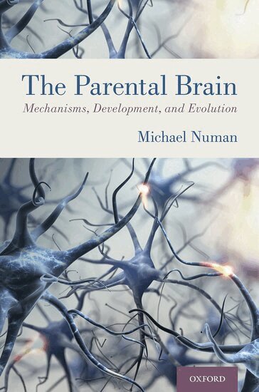 Michael Numan - The Parental Brain, Inbunden