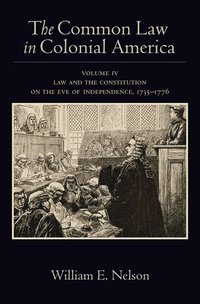 bokomslag The Common Law in Colonial America