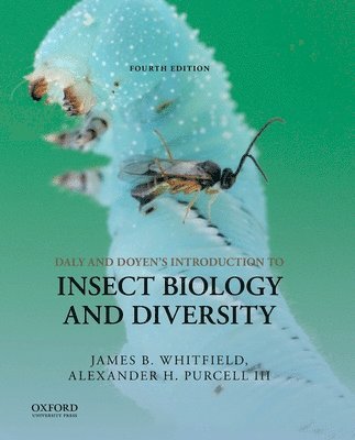 bokomslag Daly and Doyen's Introduction to Insect Biology and Diversity