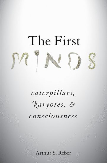 The First Minds 1