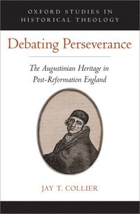bokomslag Debating Perseverance