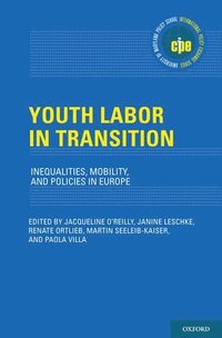 bokomslag Youth Labor in Transition