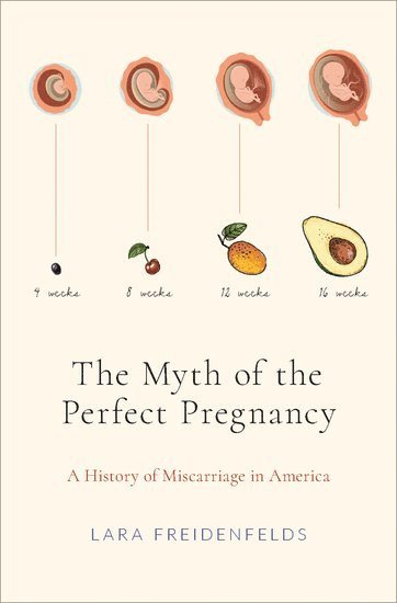 bokomslag Myth of the Perfect Pregnancy
