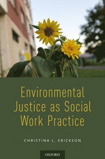 bokomslag Environmental Justice as Social Work Practice