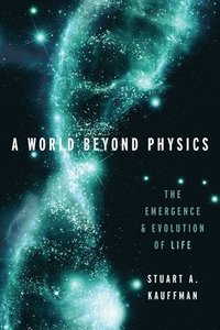 bokomslag A World Beyond Physics