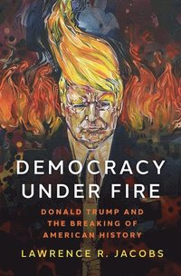 bokomslag Democracy under Fire