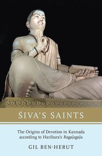 bokomslag ?iva's Saints
