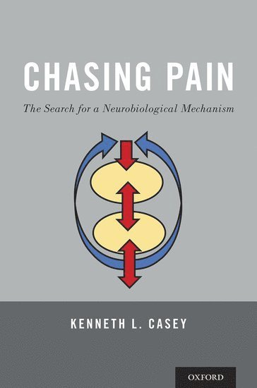 bokomslag Chasing Pain: The Search for a Neurobiological Mechanism