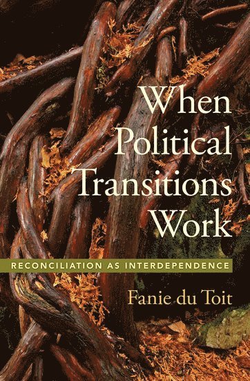 bokomslag When Political Transitions Work