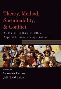 bokomslag Theory, Method, Sustainability, and Conflict