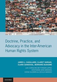 bokomslag Doctrine, Practice, and Advocacy in the Inter-American Human Rights System