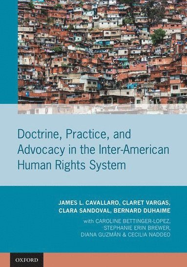 bokomslag Doctrine, Practice, and Advocacy in the Inter-American Human Rights System