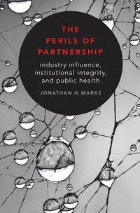 bokomslag The Perils of Partnership