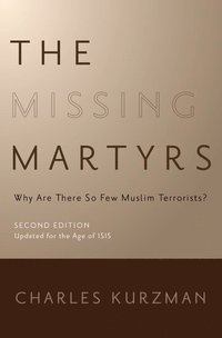 bokomslag The Missing Martyrs
