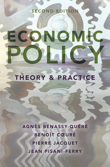 bokomslag Economic Policy: Theory and Practice