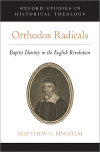 bokomslag Orthodox Radicals