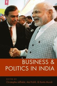 bokomslag Business and Politics in India