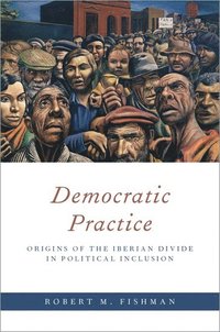 bokomslag Democratic Practice