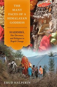 bokomslag Many Faces of a Himalayan Goddess