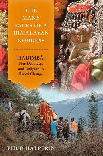 bokomslag Many Faces of a Himalayan Goddess