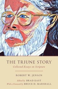 bokomslag The Triune Story